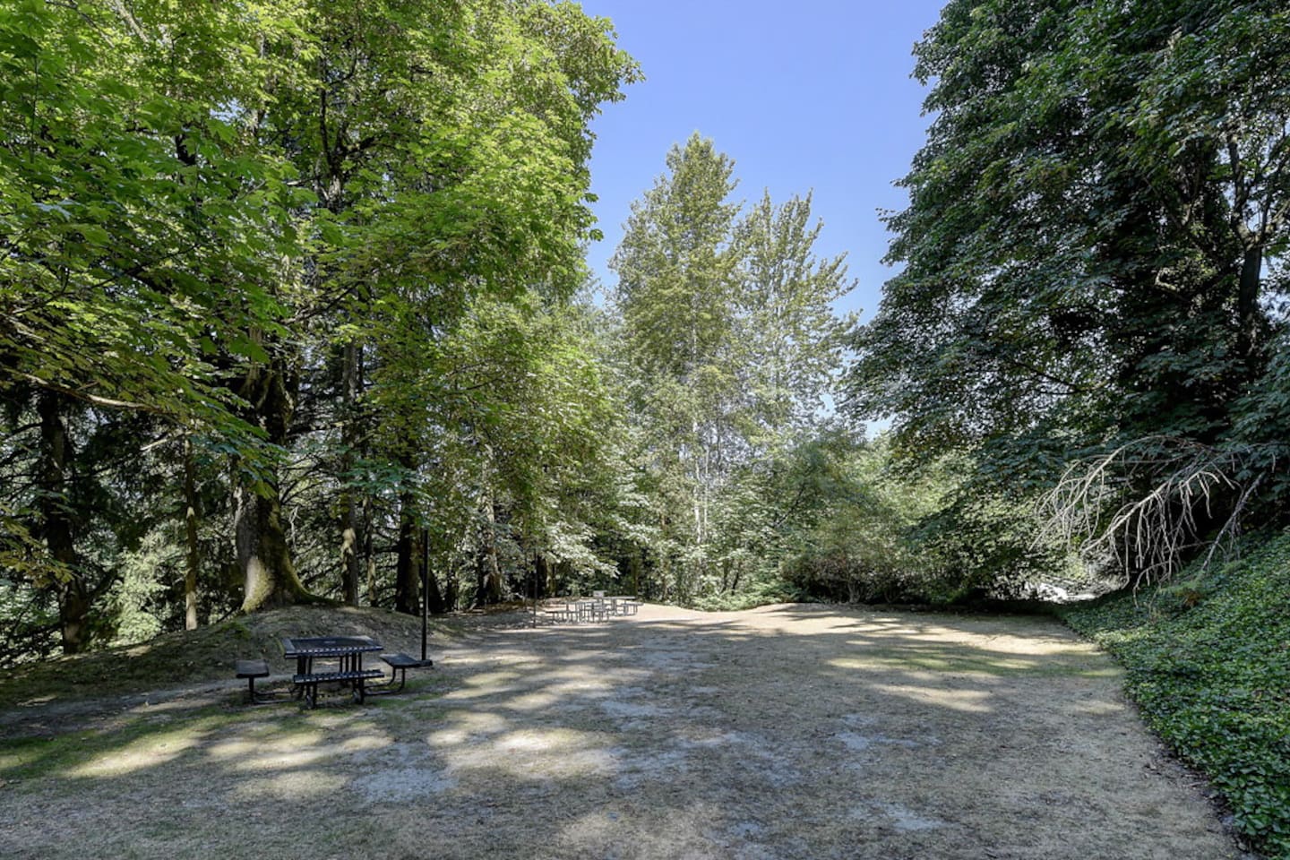 , an Airbnb-friendly apartment in Bellevue, WA