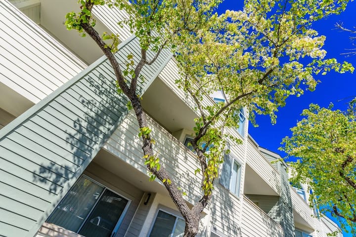 RGVtYW5kUGljdHVyZToyMjczNTUxNTAz