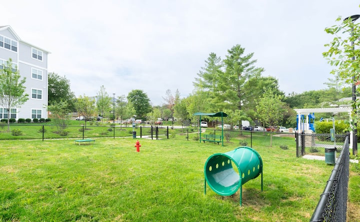 RGVtYW5kUGljdHVyZToxOTQzMTQ1Nzk4