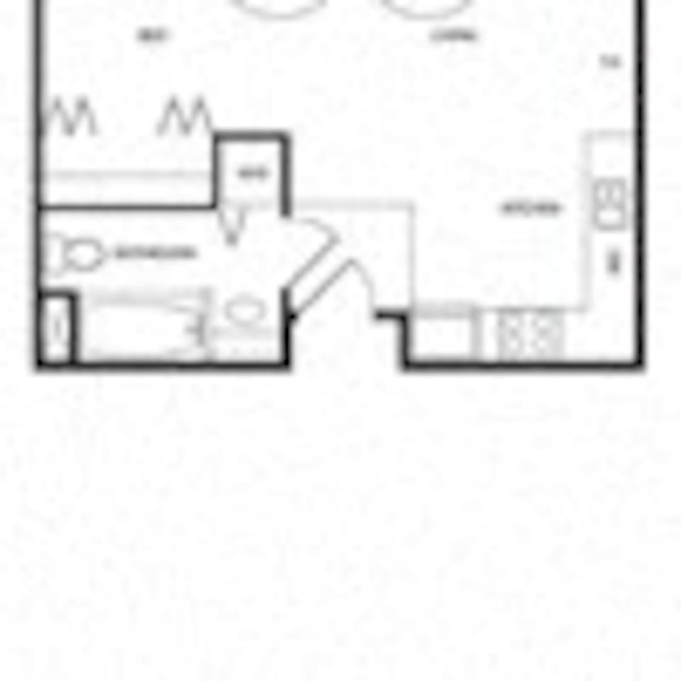 Floorplan diagram for Lite Renovation - 439 Sq Ft., showing Studio