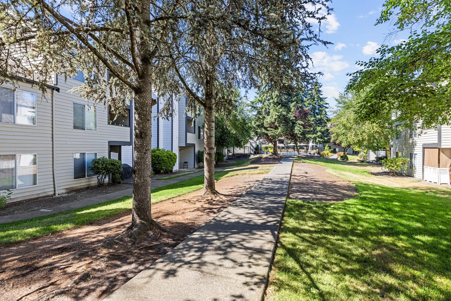 , an Airbnb-friendly apartment in Lynwood, WA