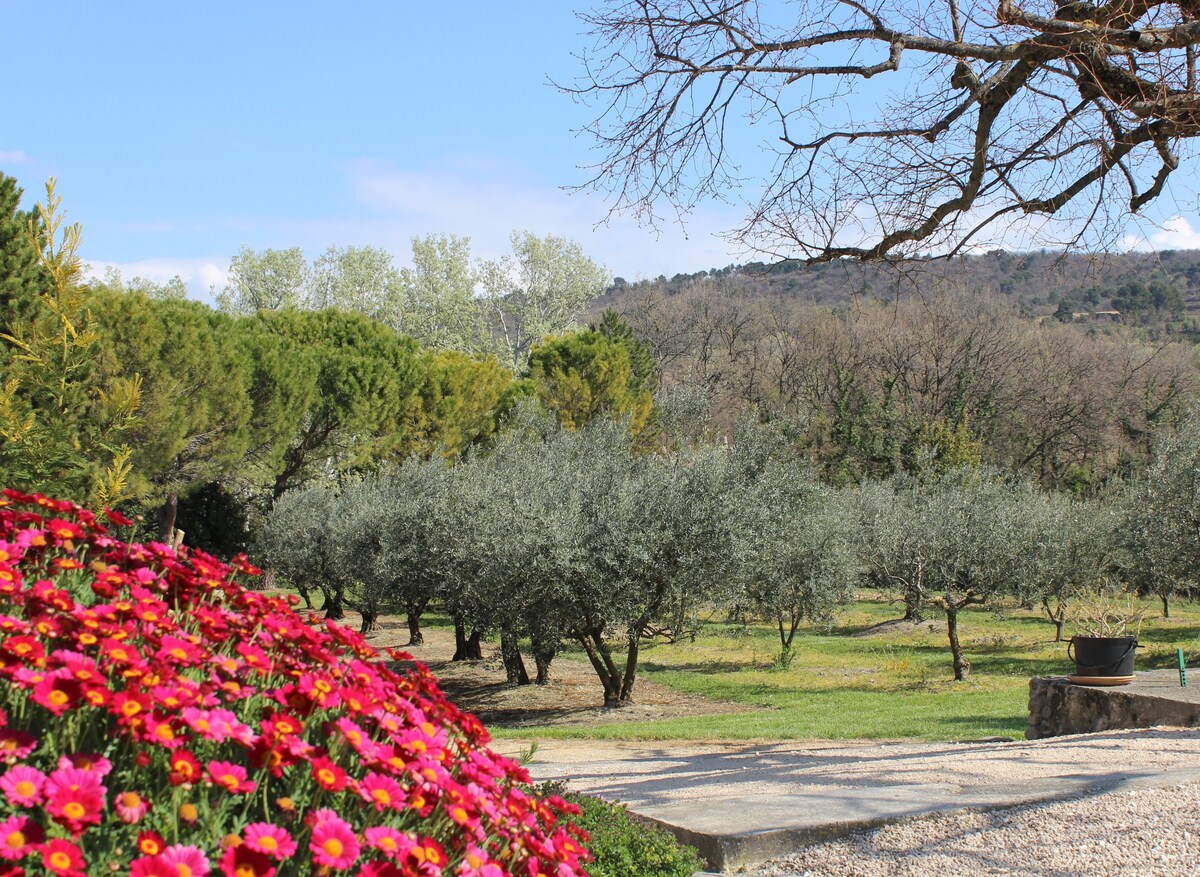 Maison en Provence, piscine chauffée, WIFI et P.