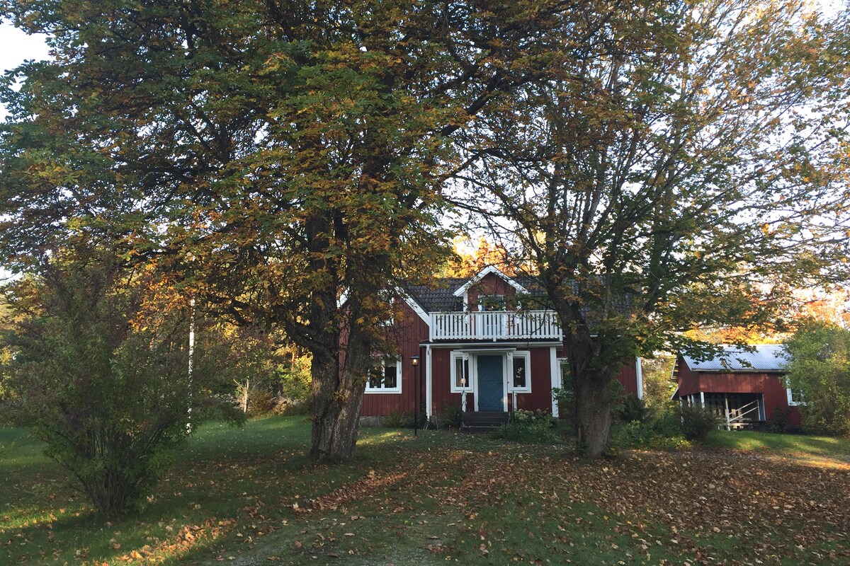 Countryside house in beautiful forest environment