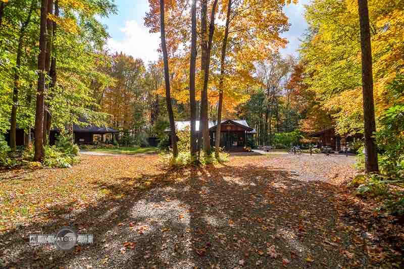 Timberdoodle Lodge ： Grammy 's Cottage