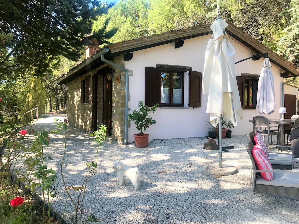 玫瑰小屋（ Cottage Le Rose La Panoramica Gubbio ）