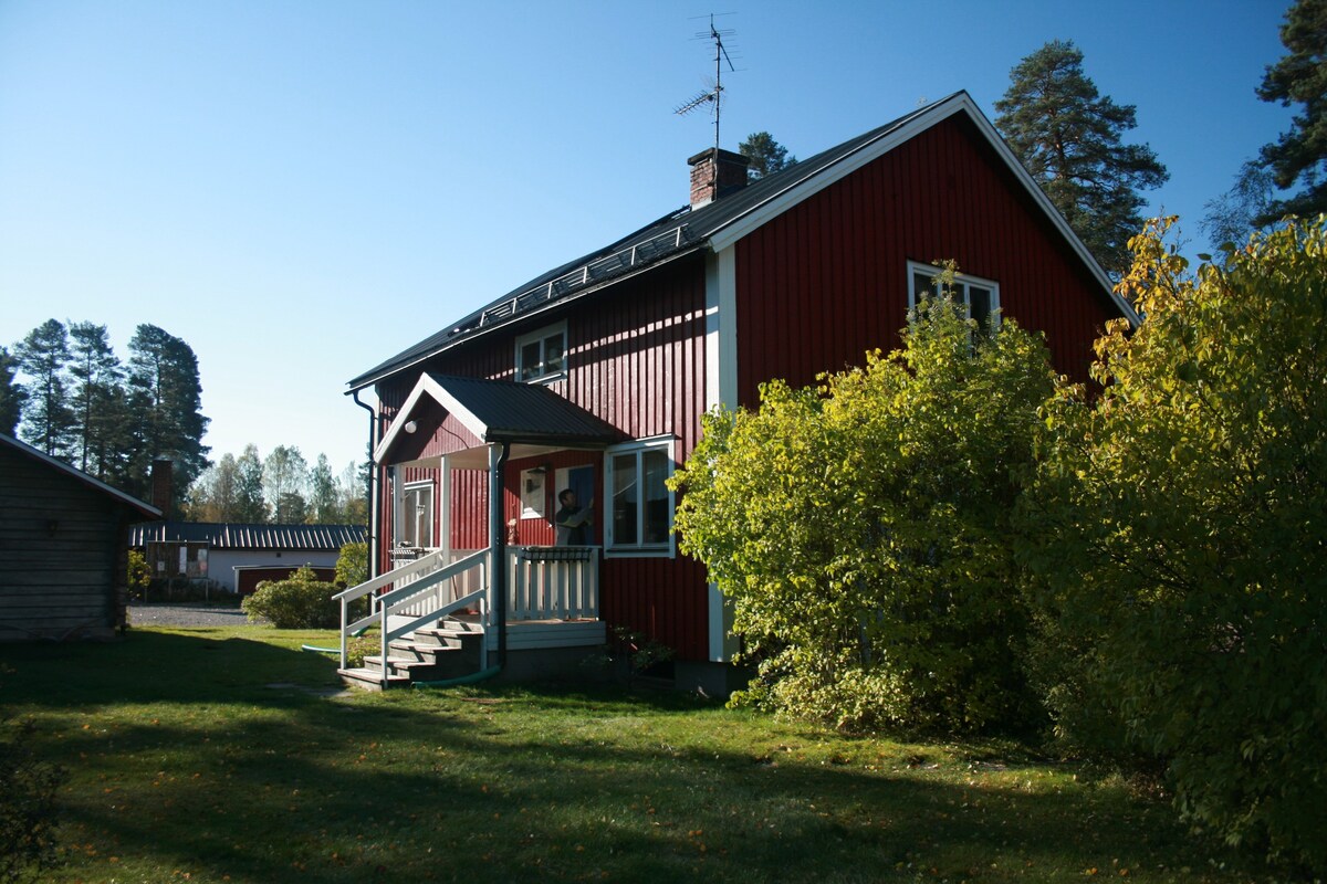 Traditional Swedish cottage by lake and forest
