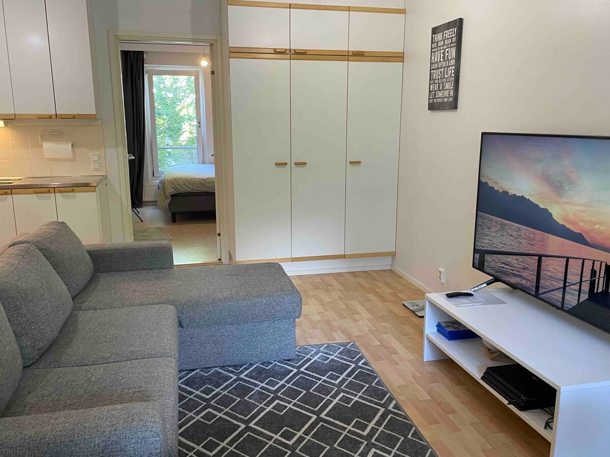 Entire apartment with own sauna and free parking