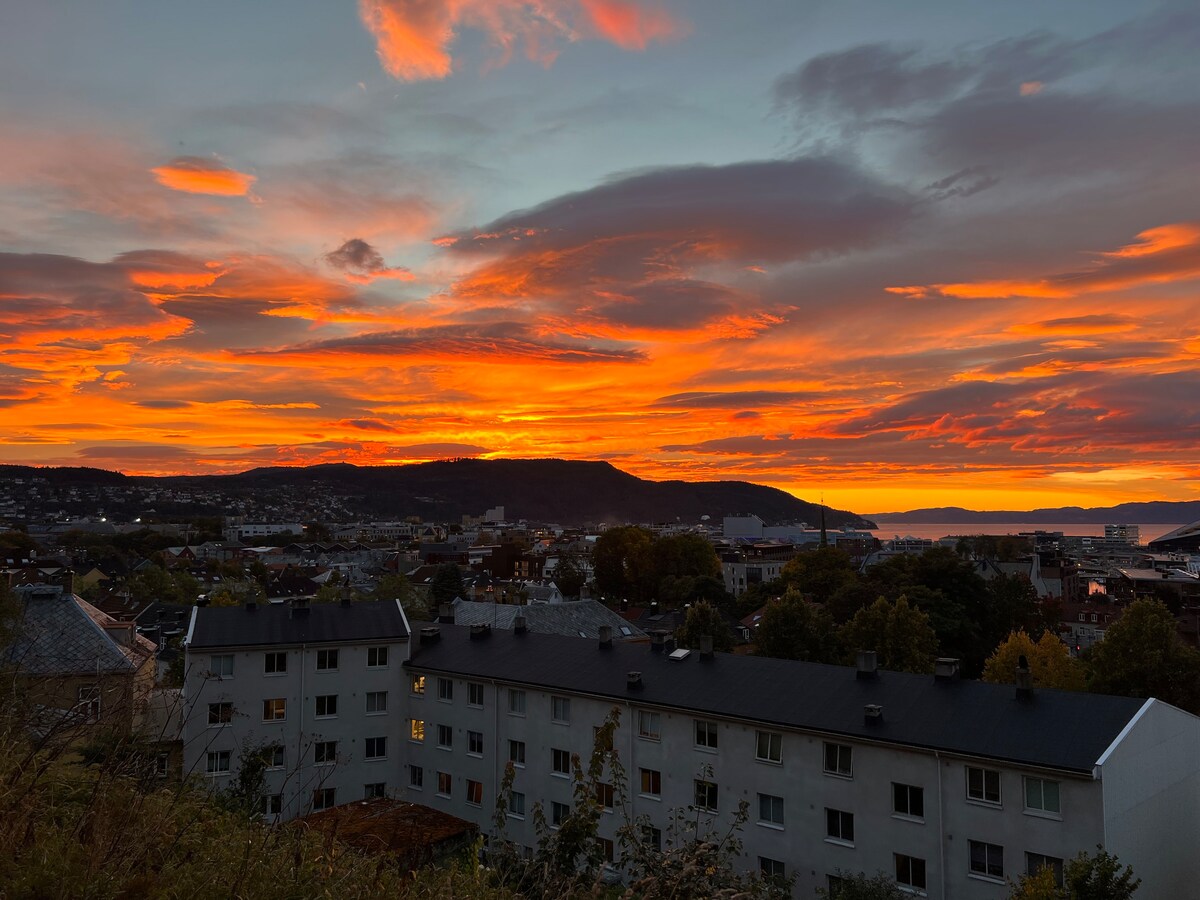 Meget sentral leilighet på sjarmerende Møllenberg