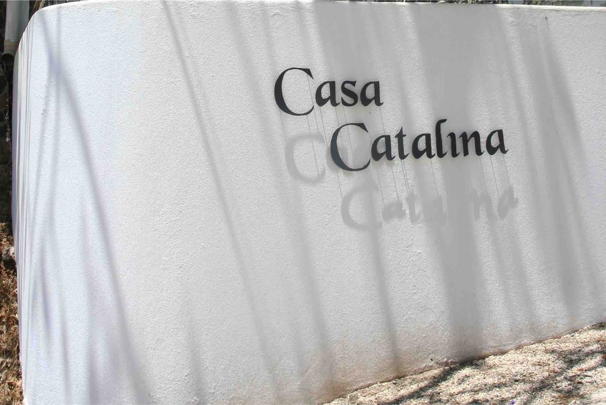 塔马林多（ Tamarindo ）的Lower Casita Catalina ，带私人泳池
