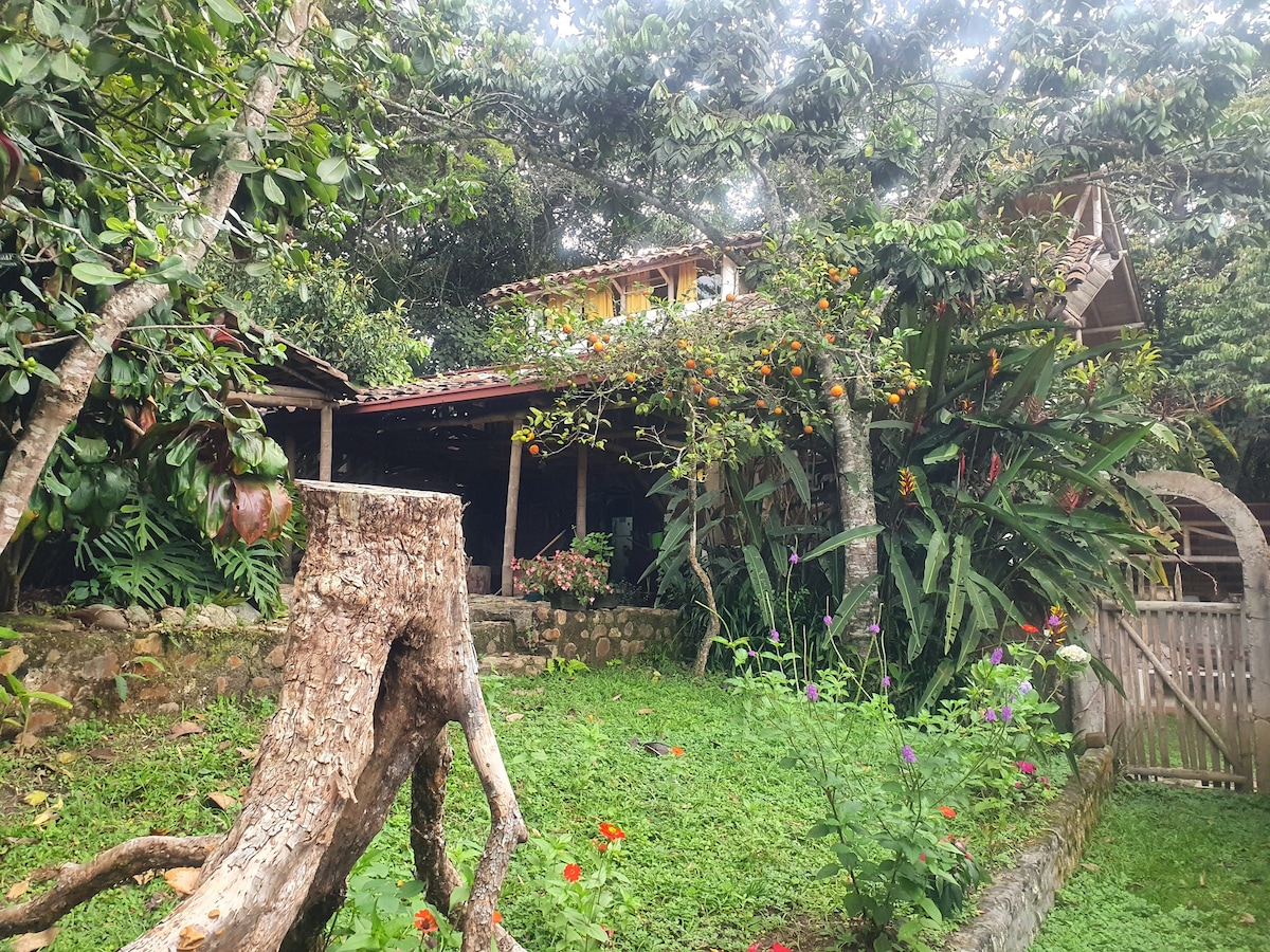 La Antigua生态酒店