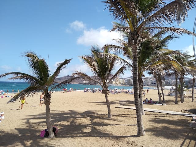 Bochinche Los Jamones