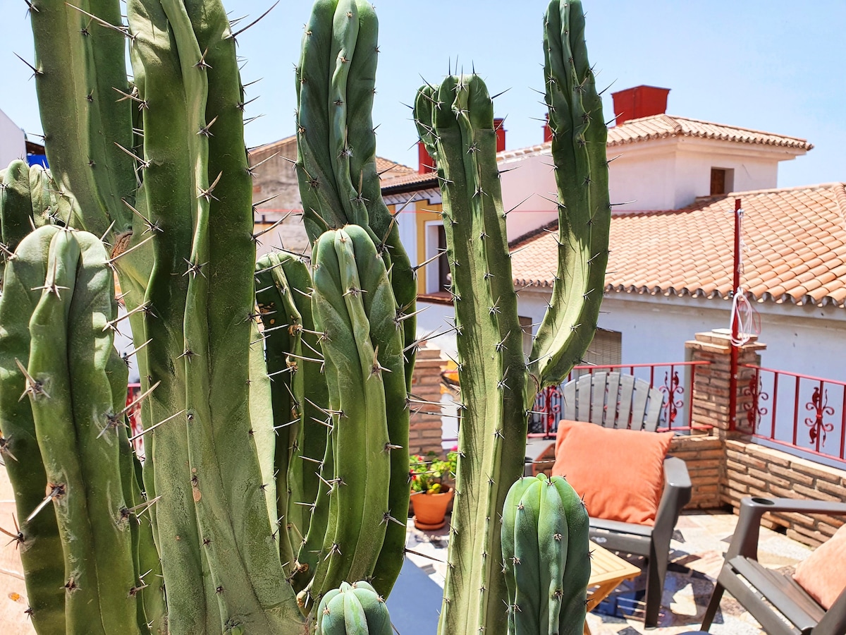 La Casita Cactus - Vélez-Málaga老城区