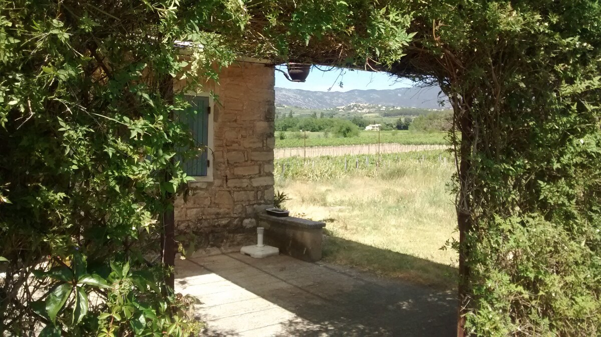 Pour les amoureux du Ventoux