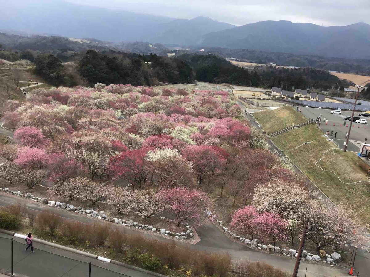 -欢迎来到里山