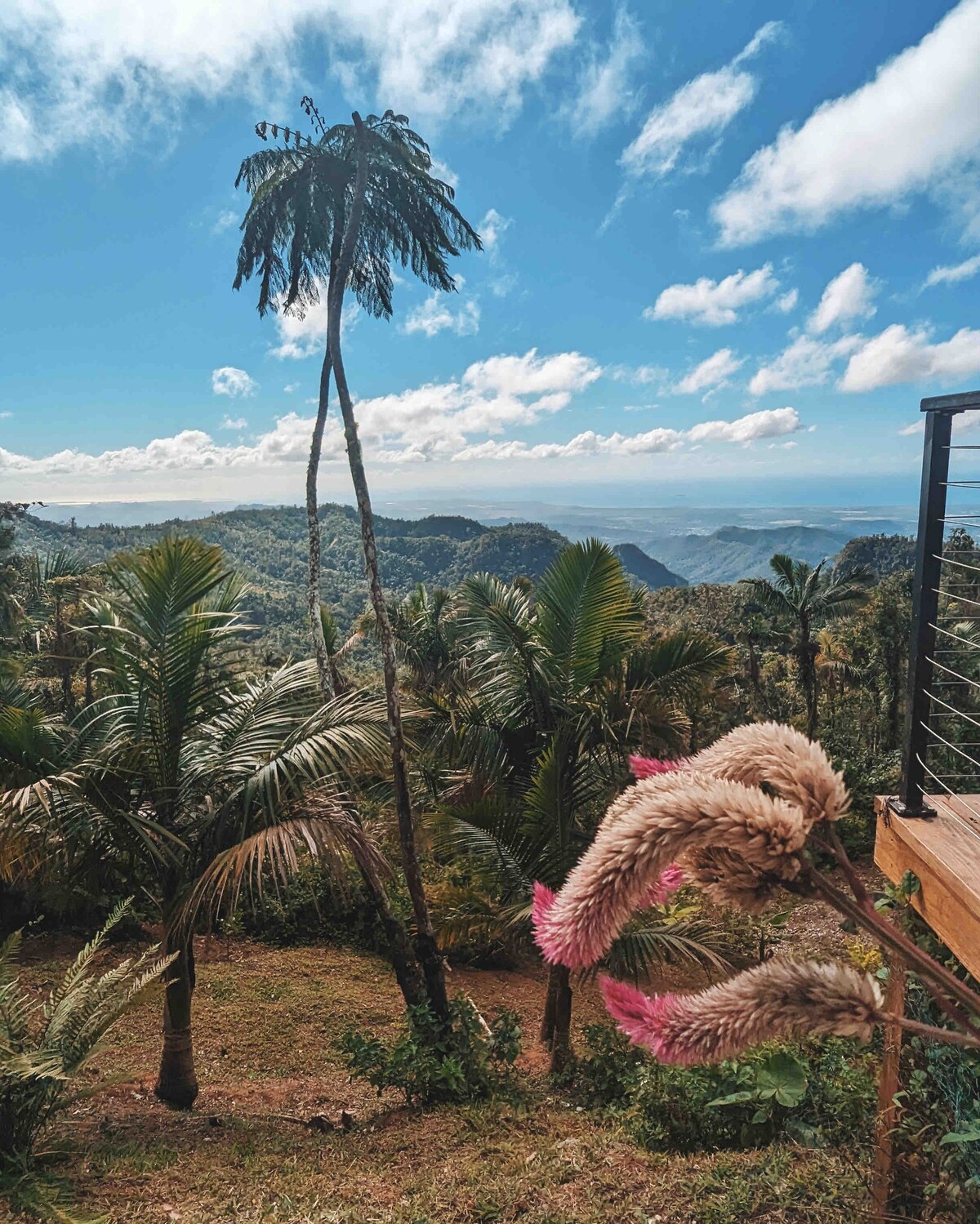 Toro Negro Mountaintop Ocean View Finca