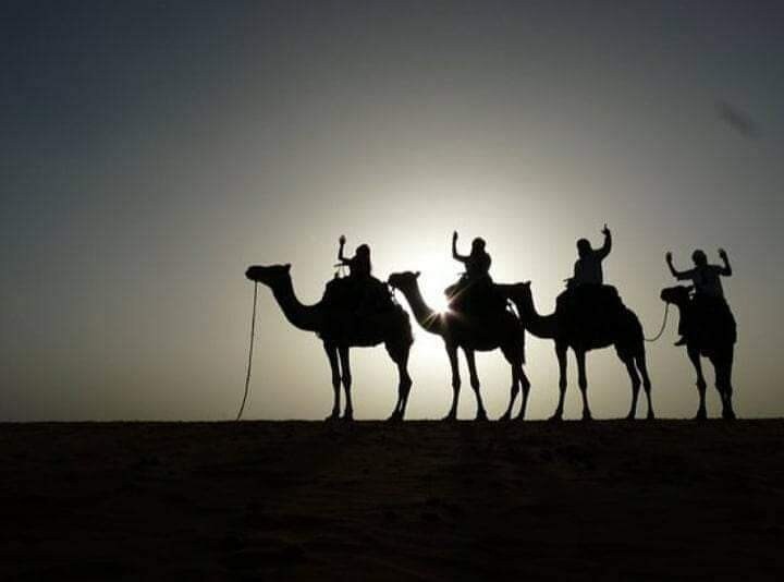 Sahara Bedouin Camp