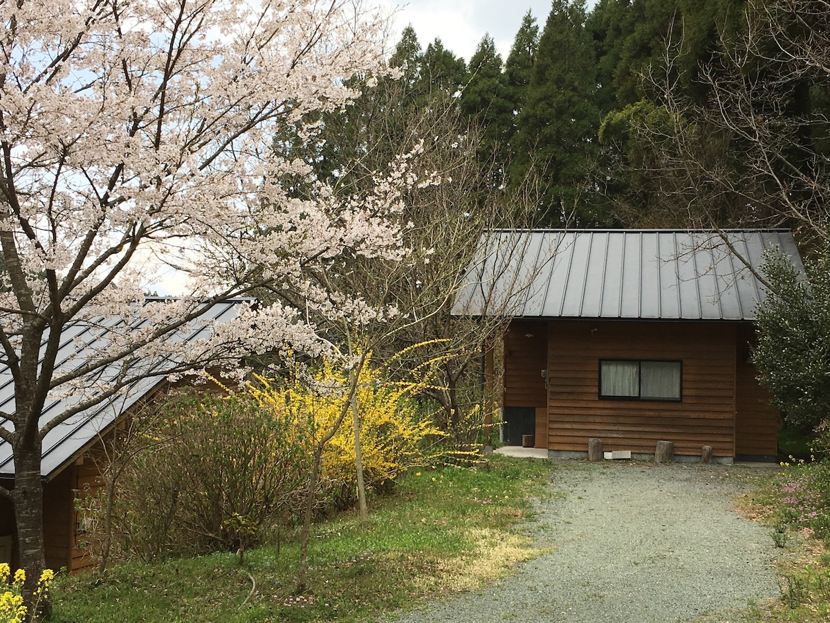 入住乡村小屋第2部分