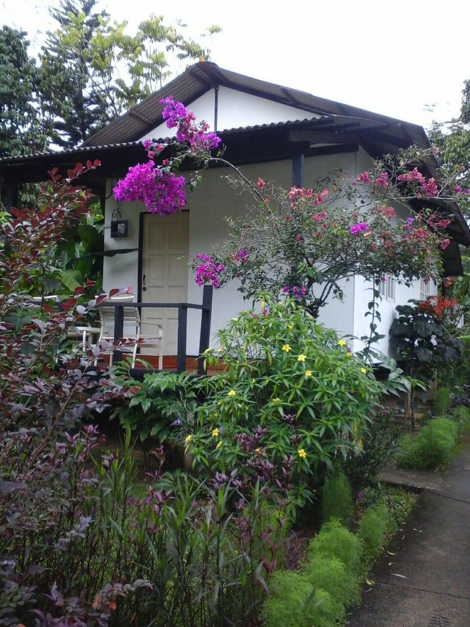 双花园1 Centella Asiatica度假村Pahang