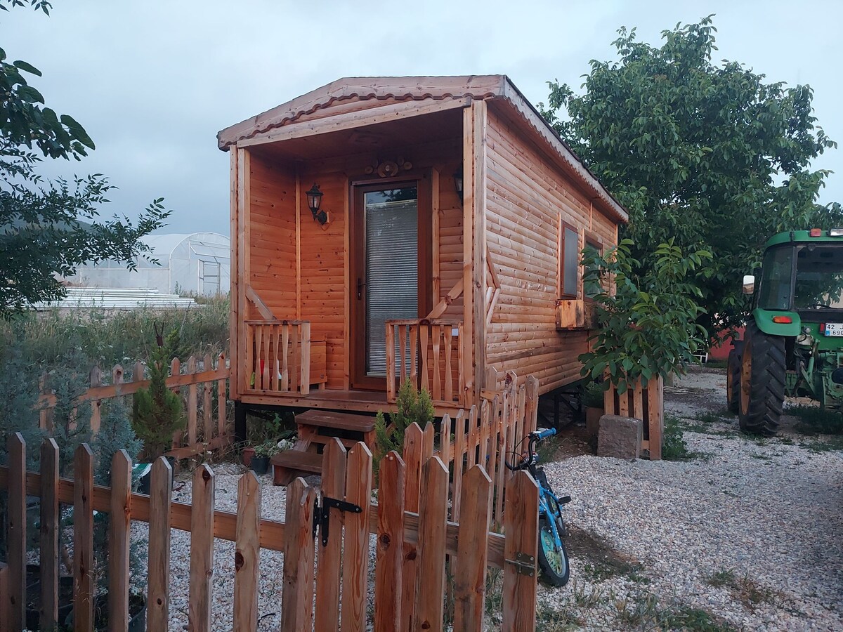 wooden Tiny house in village surrounded by nature