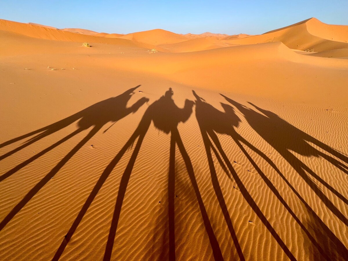 Sahara Bedouin Camp