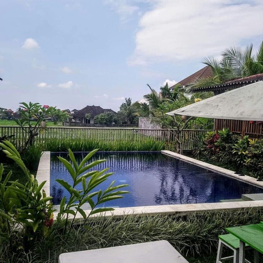 乌布美景旅舍（ Ubud PAdi View Hostel ） 2人早餐和游泳池
