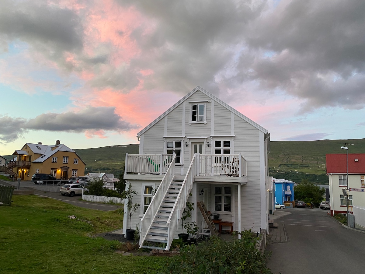 位于老城的美丽冰岛房屋