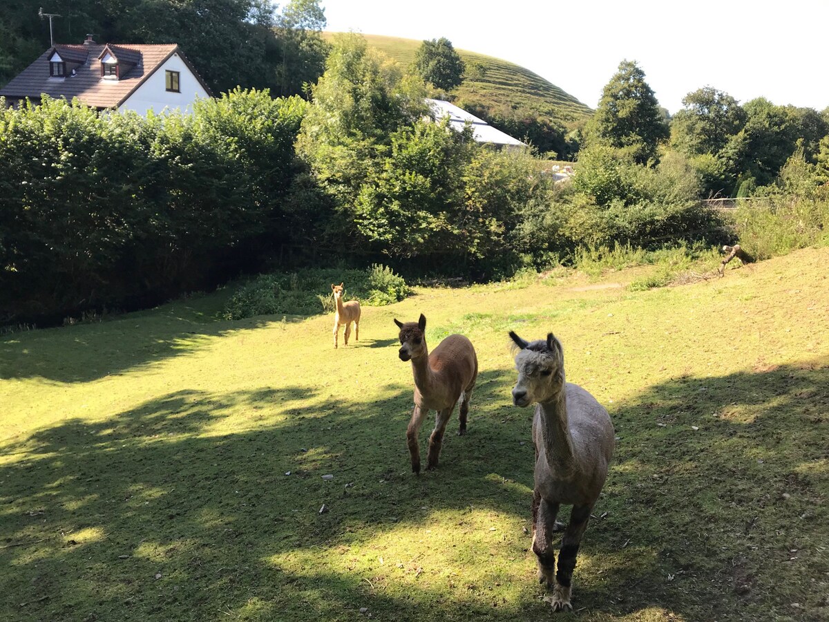 Bluebell River Cottage - Tamar Valley