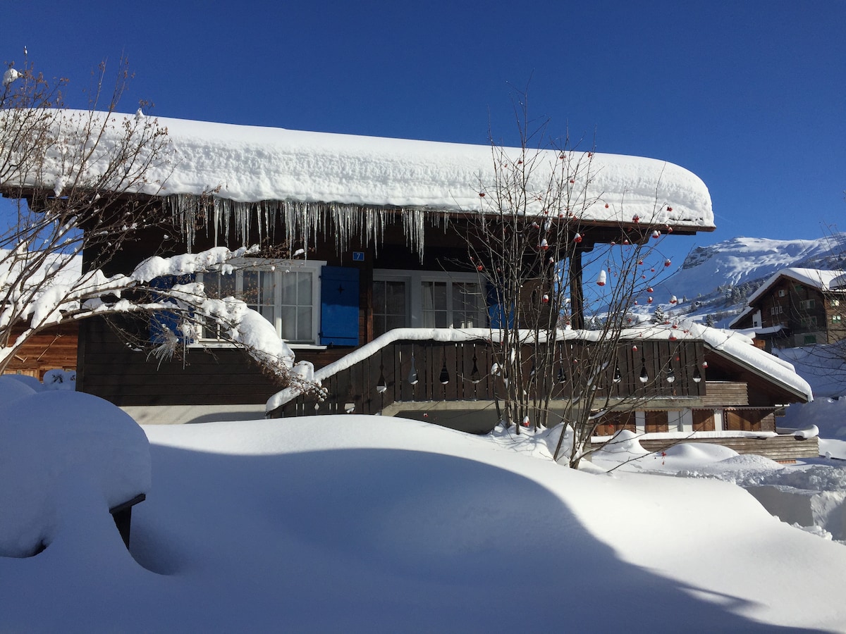 滑雪场的上税舒适度假木屋