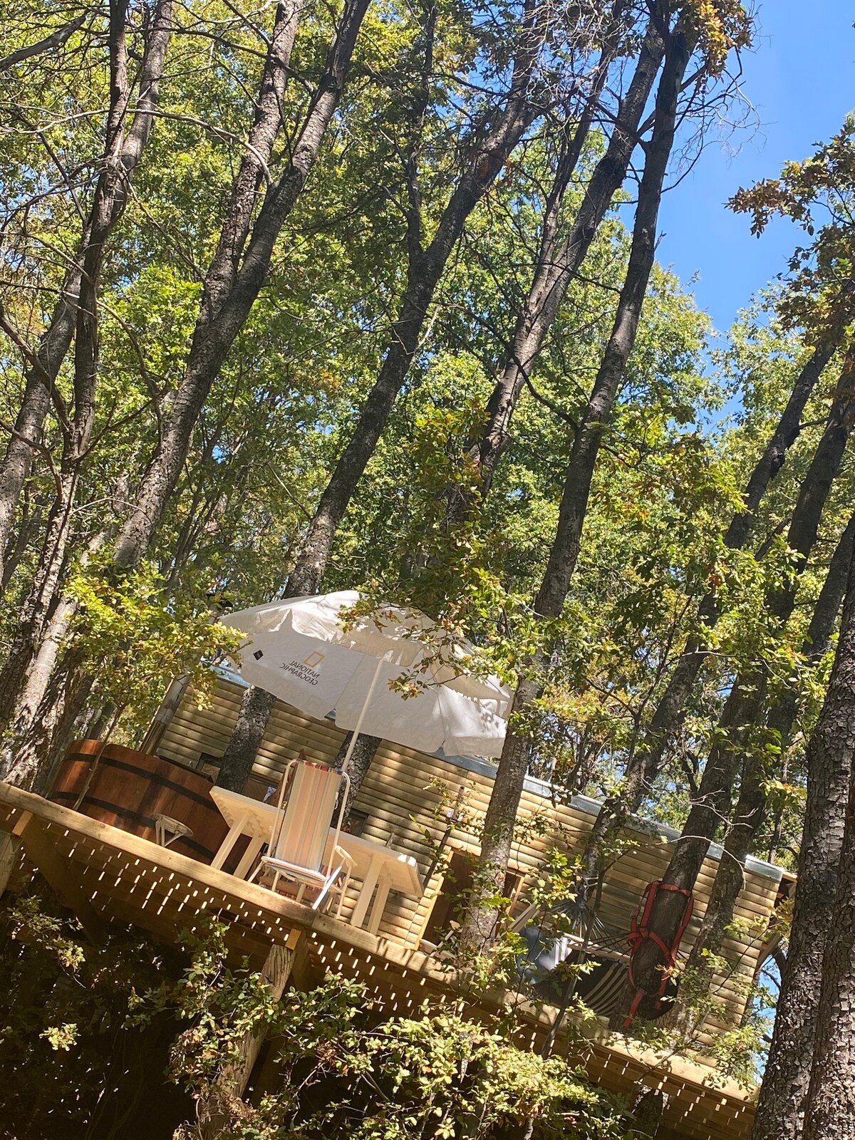 Cabaña en el bosque saltó la placeta maule