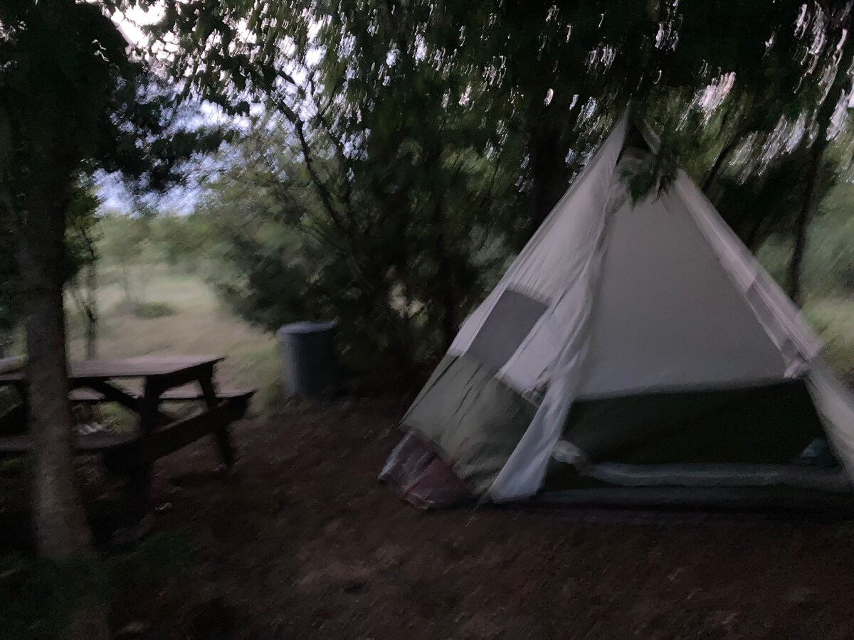 坐落在树林中的Tipi帐篷-在星空下淋浴