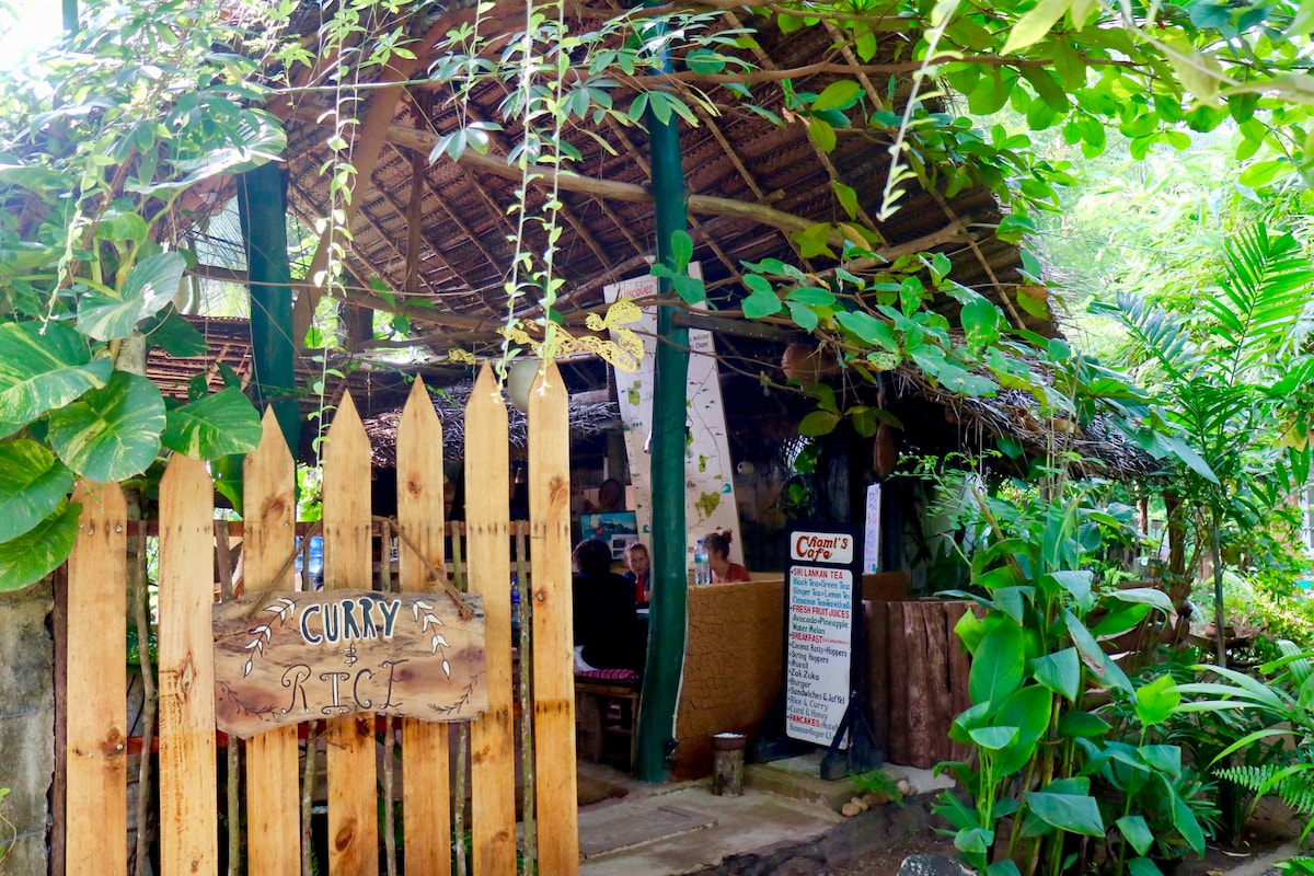 Chami 's Jungle Beach Coconut Tree House Paradise