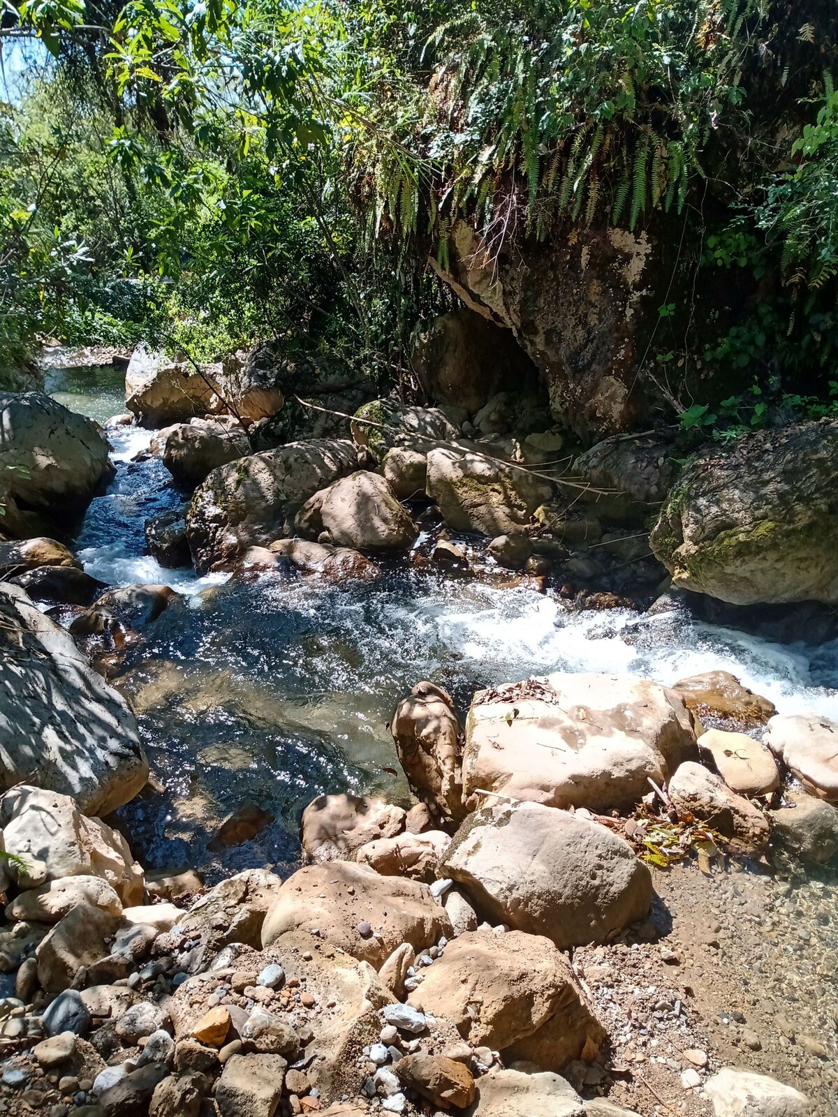 The nature touch  nuyoo turistico y cafe orgamico