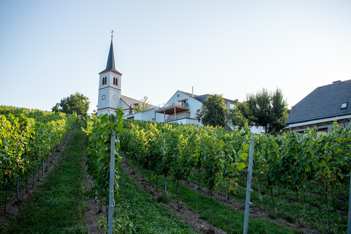 Ferienwohnung Weingut Johanneshof - Moselblick