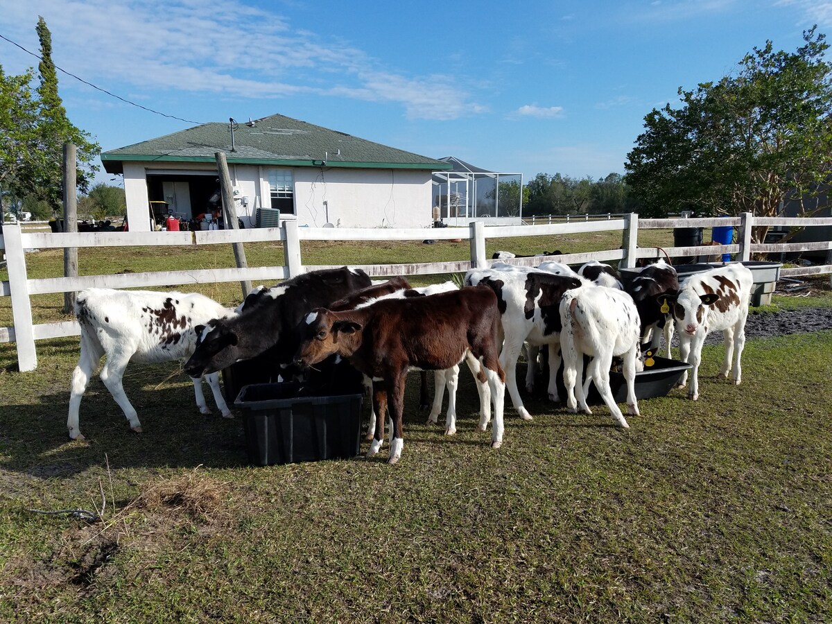 4/2Ranch a few minutes from Sebring Int. Speedway