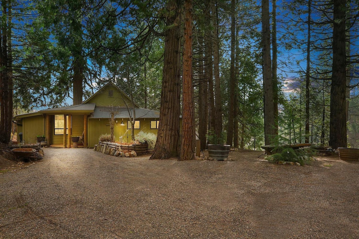 114英亩！ Wooded Serenity - Gold Camp Green Cabin