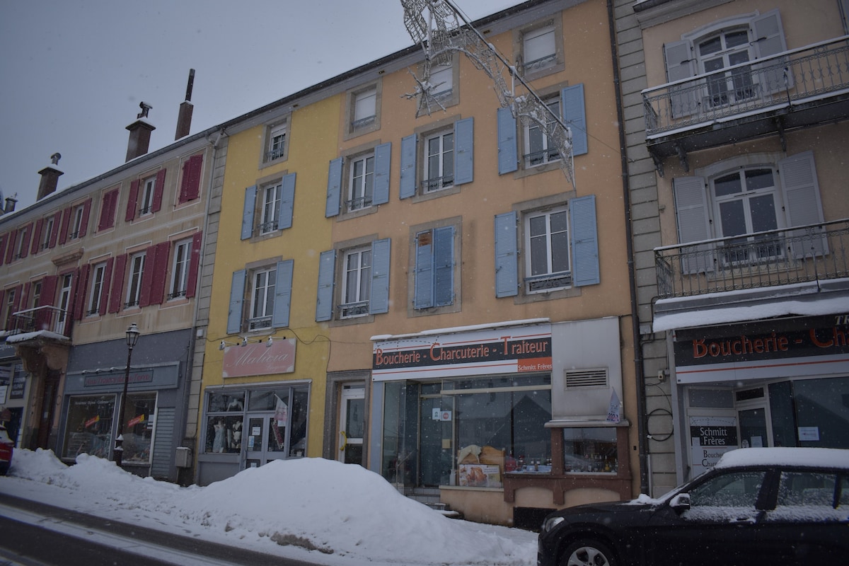 马尔莫特公寓（ Apartment des marmottes ）位于吉拉德默（ Gerardmer ）