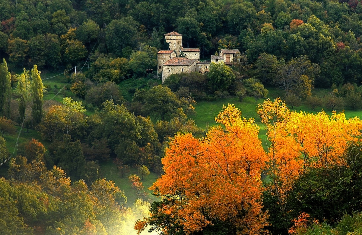 Tower-House in Borgo Fontanini