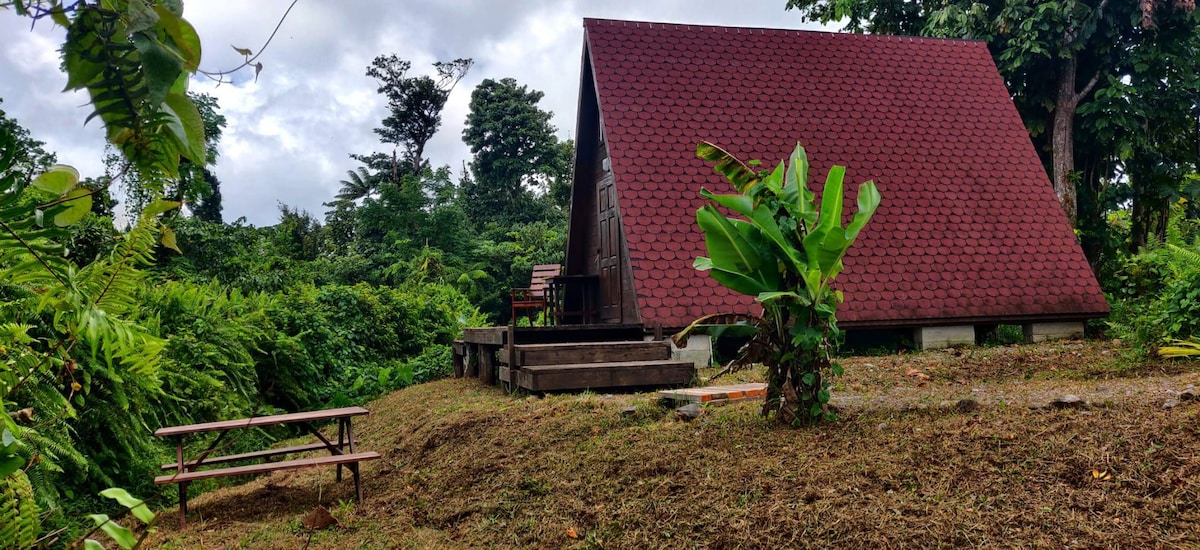 软游行生态度假村A型小屋丛林景观