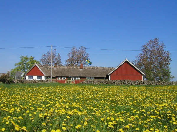 Hallandslänga 900 m från havet