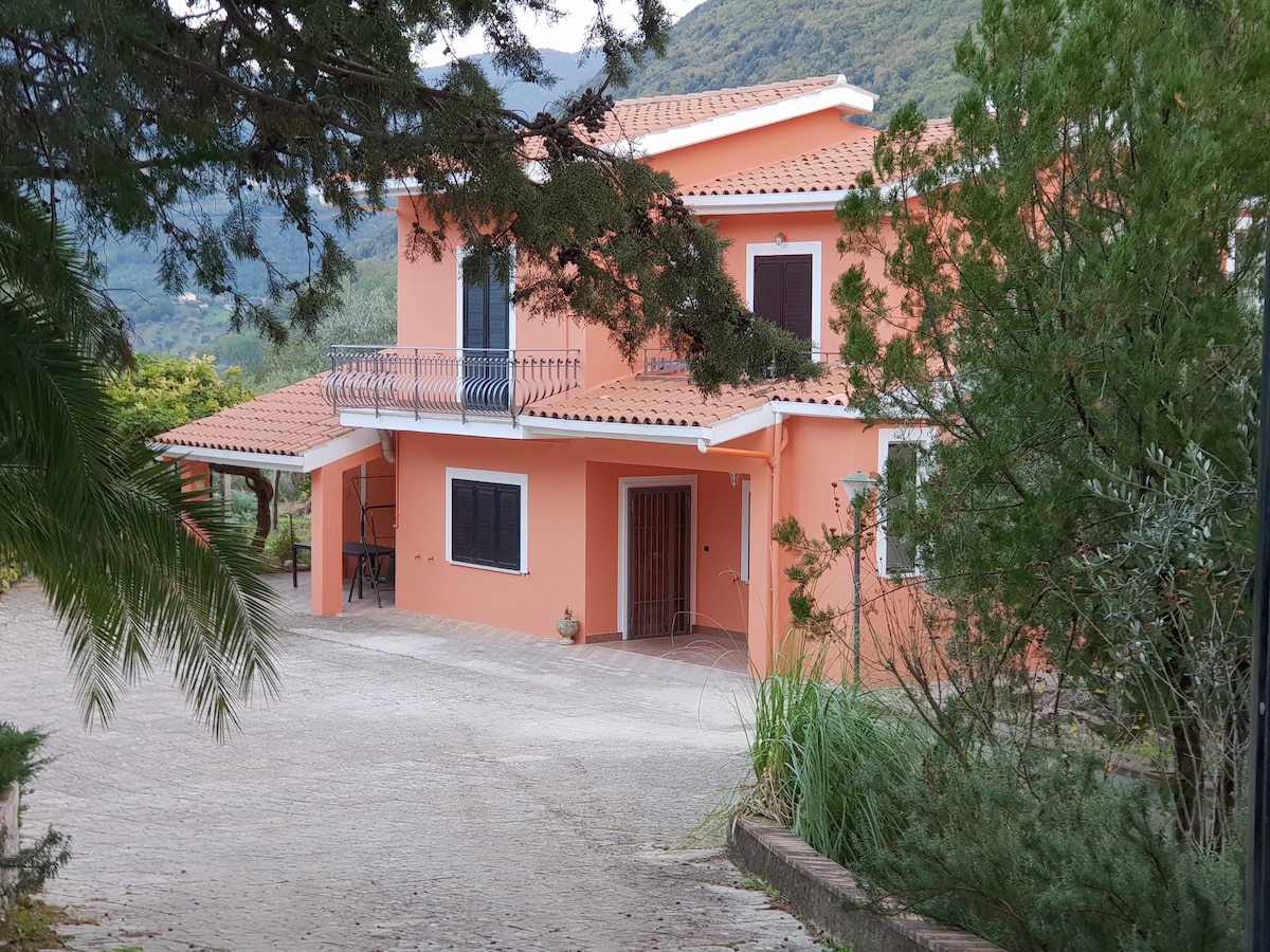 La Casa Del Mosileo