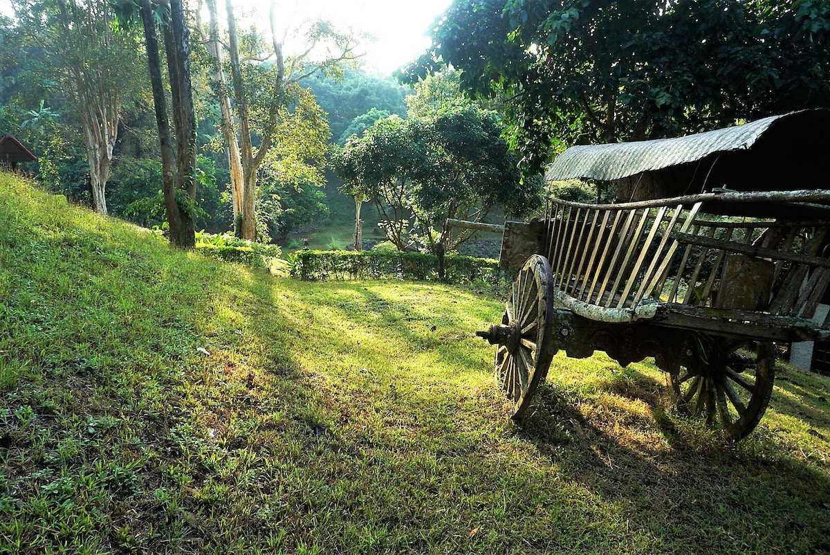 Absolute Thai Hillside Villa （绝对泰国山腰别墅） （ 2卧）