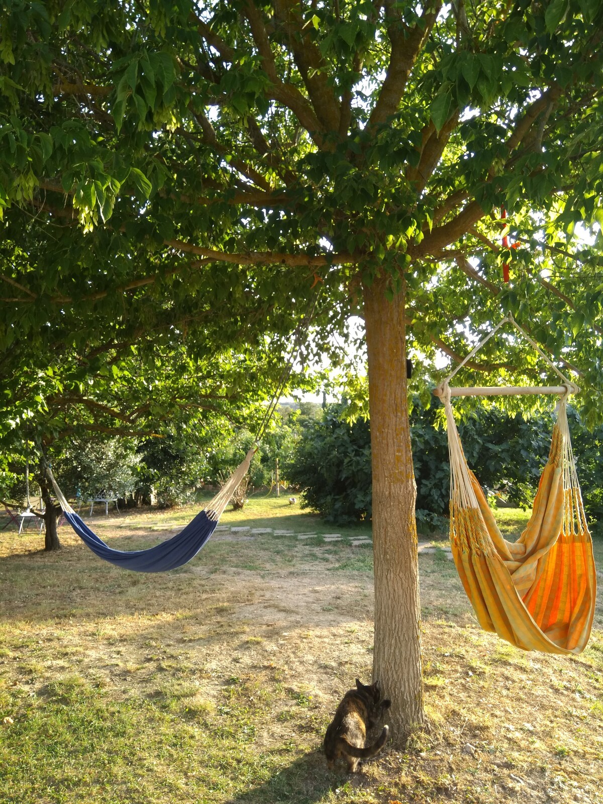 安静的独立度假木屋，带游泳池Pays Aix
