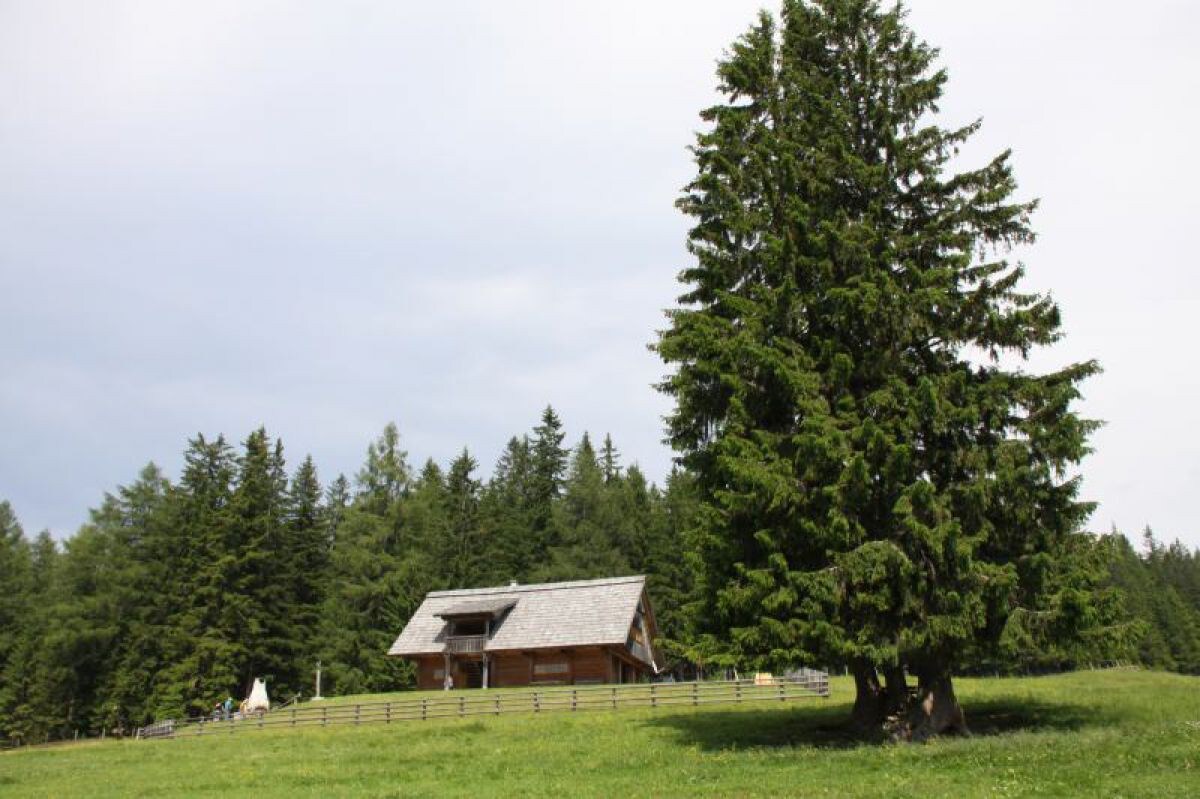 Gregor Peter Hütte