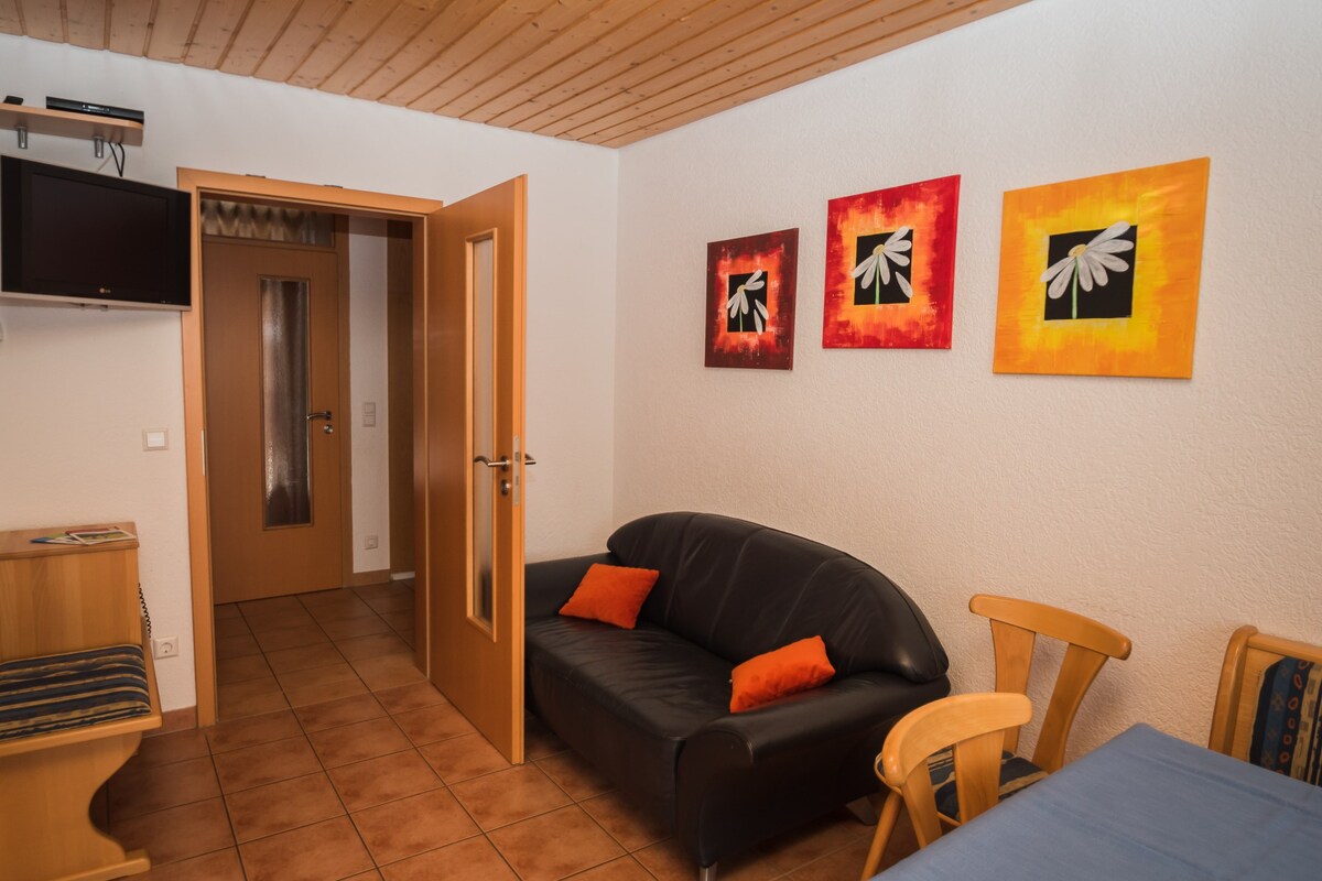 Löcherhansenhof ， （ Bad Peterstal-Griesbach ） ，度假公寓3 ， 45平方米， 2间卧室，最多5名成人和1名儿童