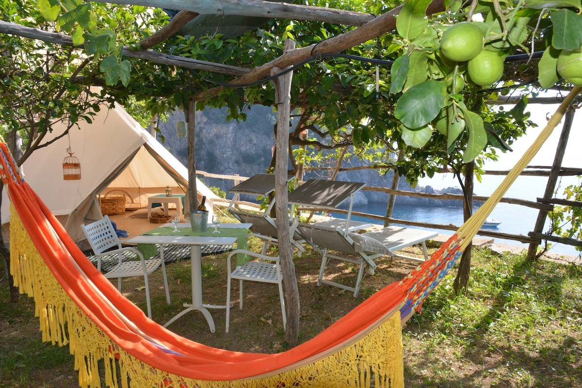 柠檬树林中的海景帐篷