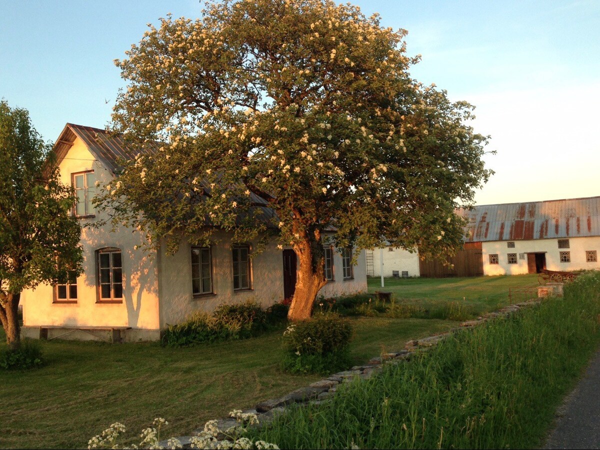 A beautiful Gotlands house close to the sea.