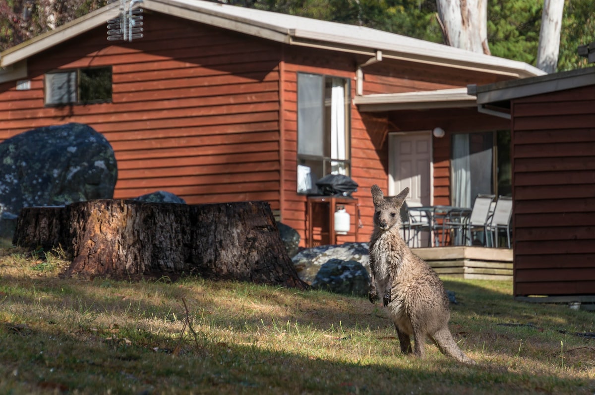 Wonderland Cottages - Banksia Cottage