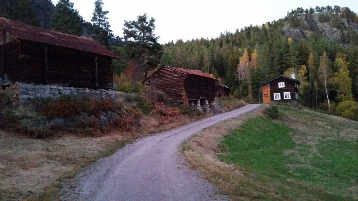 Haugen, Haugsjå Telemark.
