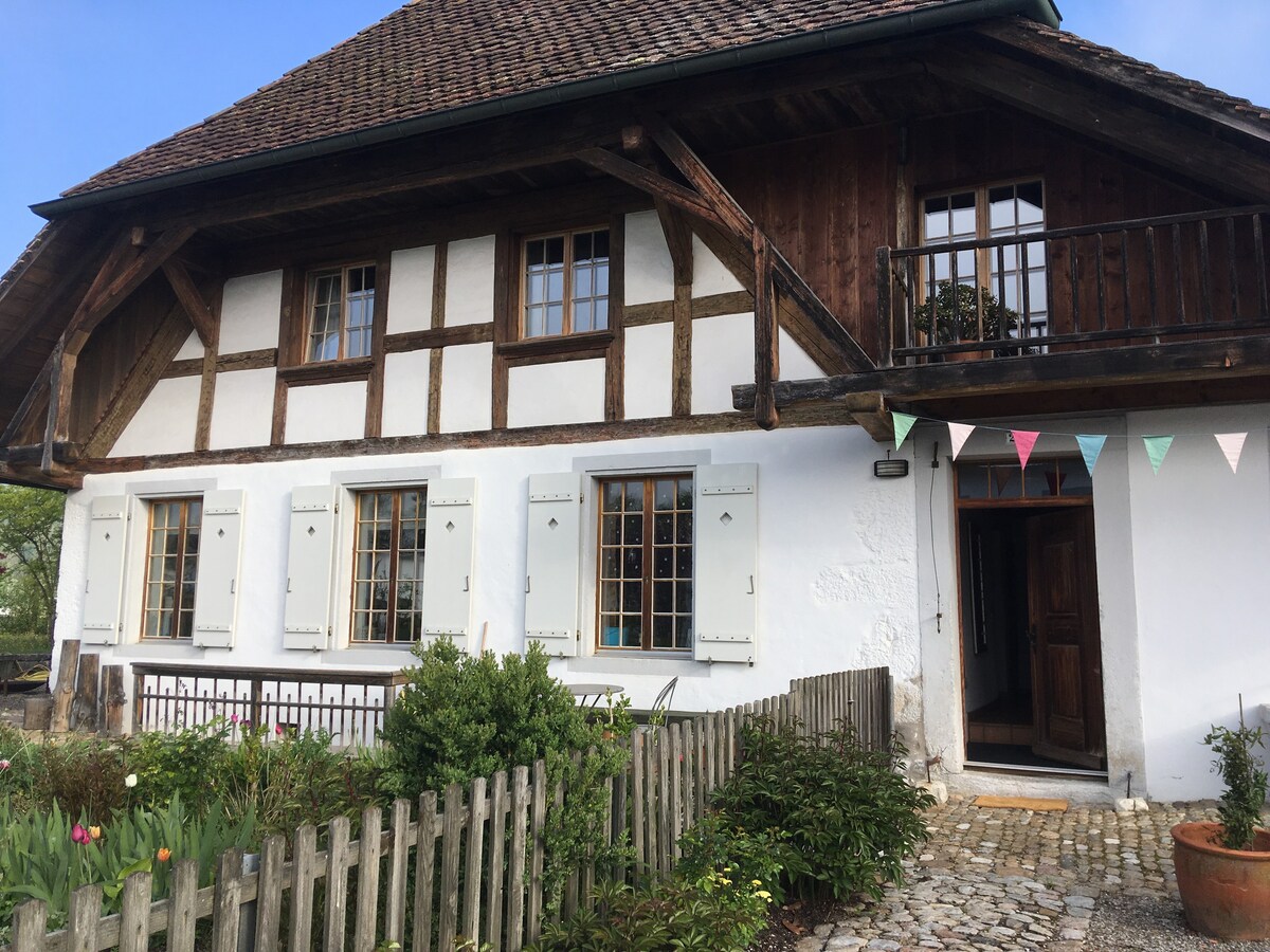 Old Jurahaus距离Solothurn City5公里(1)