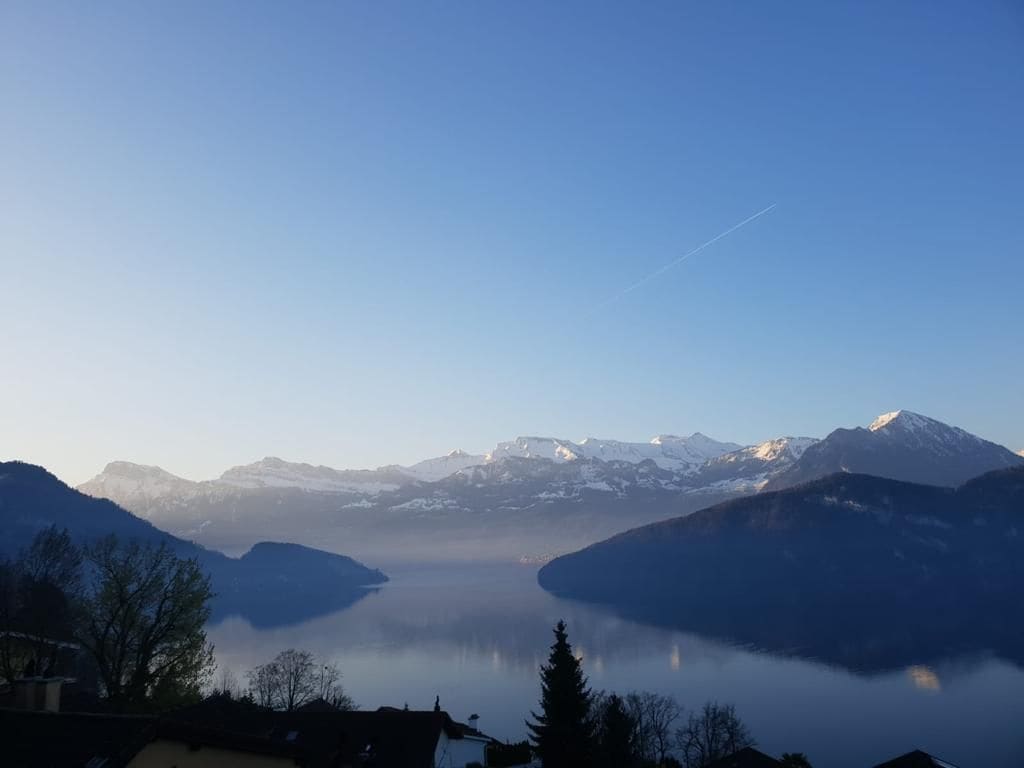 宁静的绿洲，欣赏美丽的湖景观